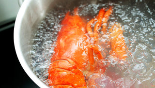 Boiled Lobster